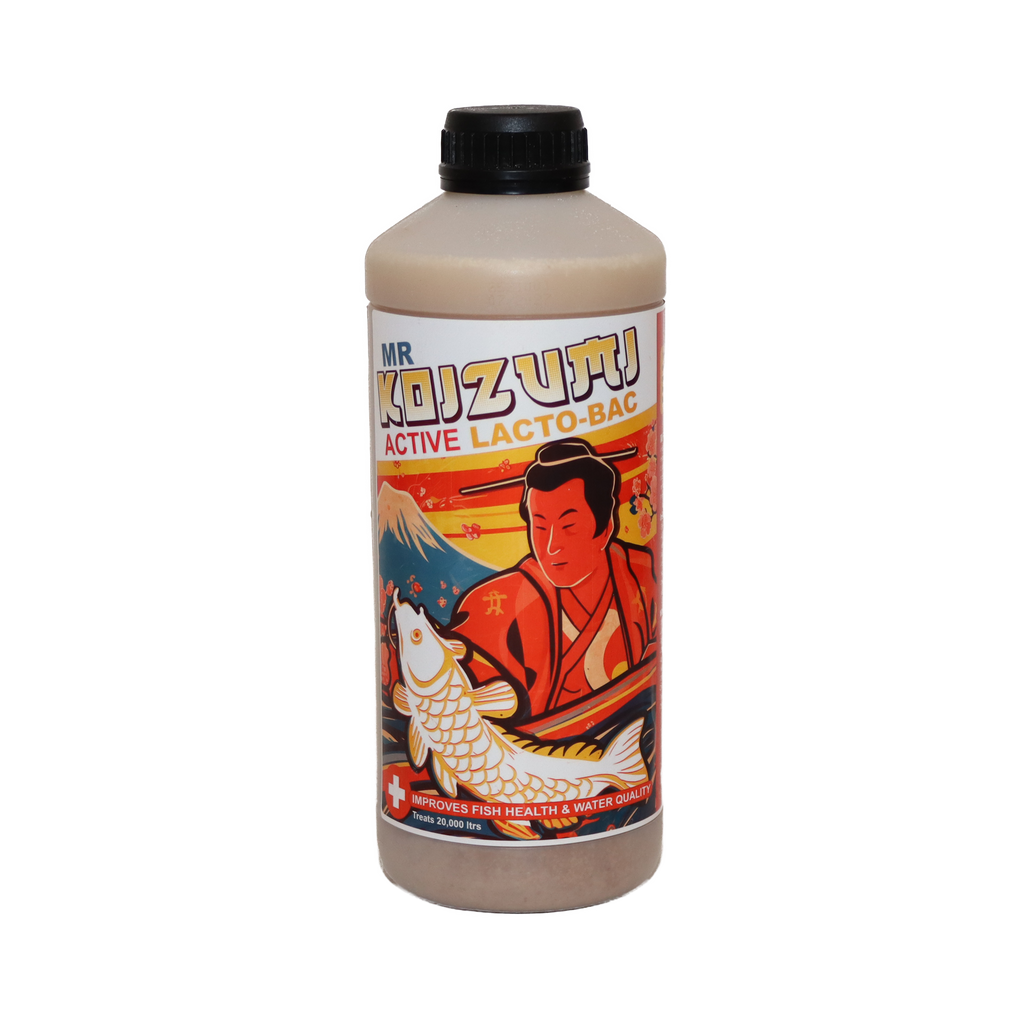 Mr Koizumi Lacto Bac